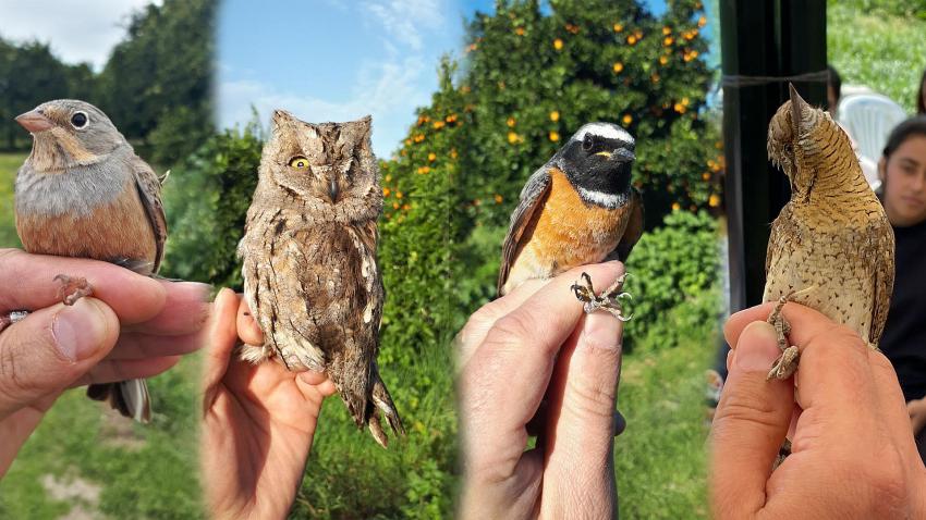 Erasmus+ KA1 Teacher Training Course EcoED Biodiversity